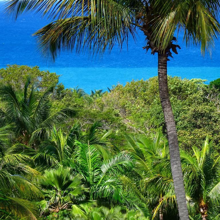 Mangoplaya Villa Deshaies Eksteriør billede