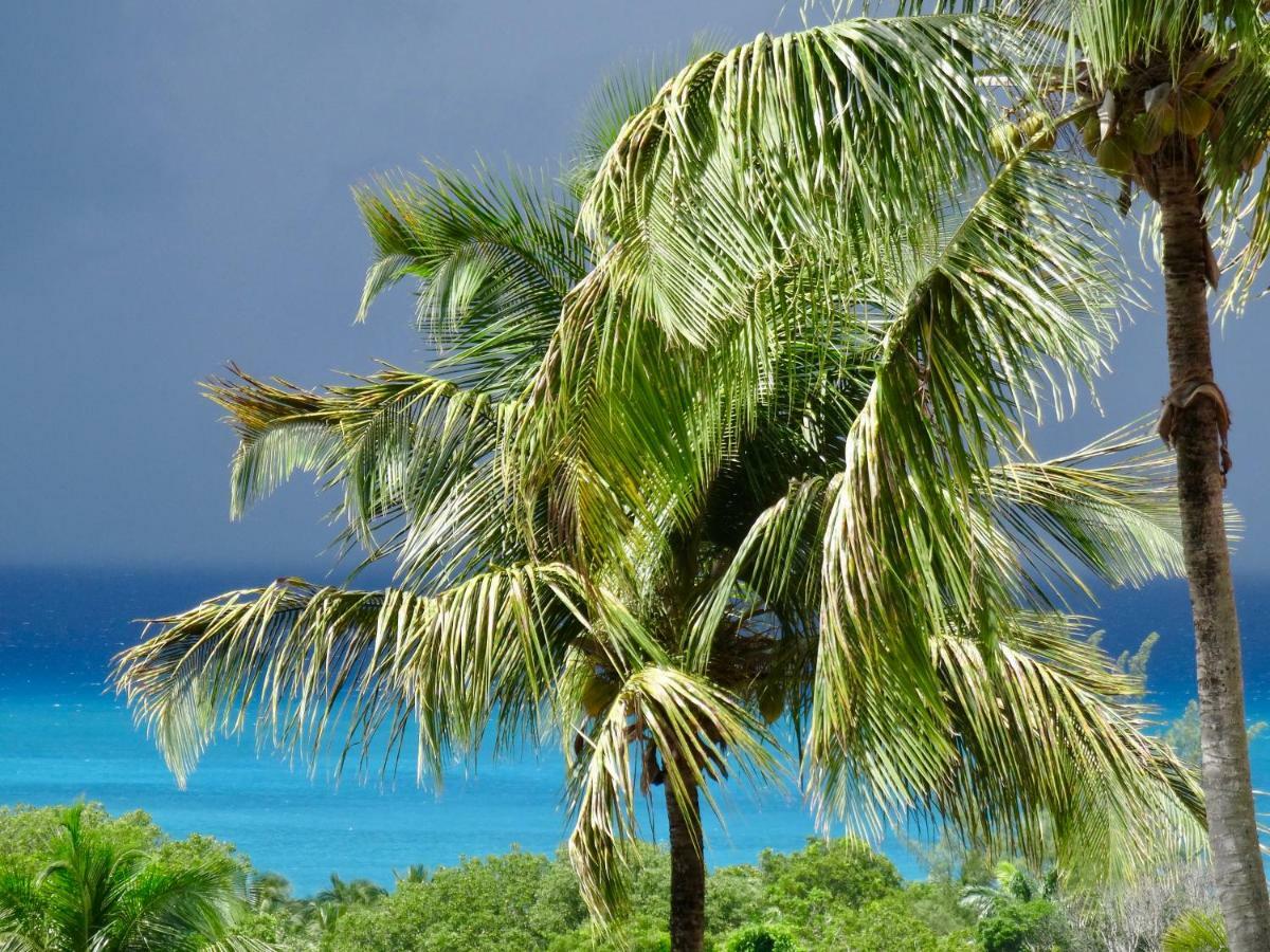 Mangoplaya Villa Deshaies Eksteriør billede